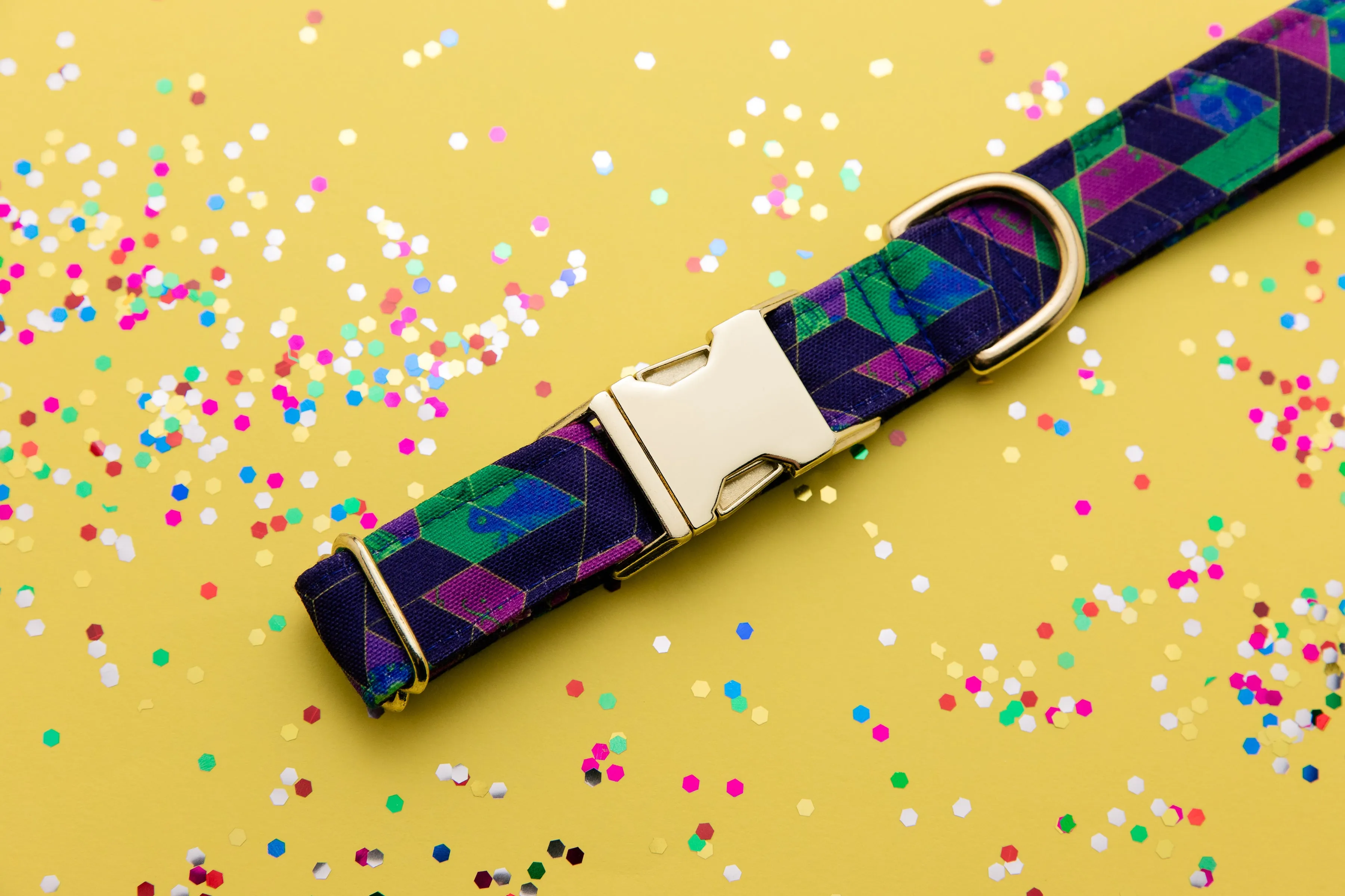 Bright Colored Geometric Water Resistant Dog Collar with Frogs Faces Musical Notes