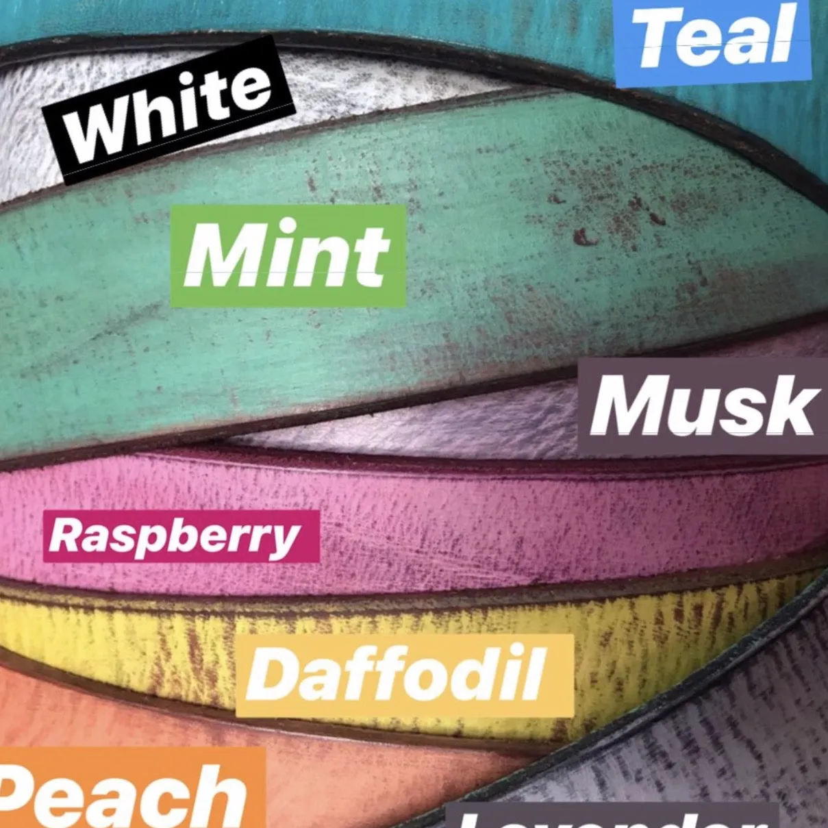 CUSTOM Slinki 25mm Belt - Choose Your Colour