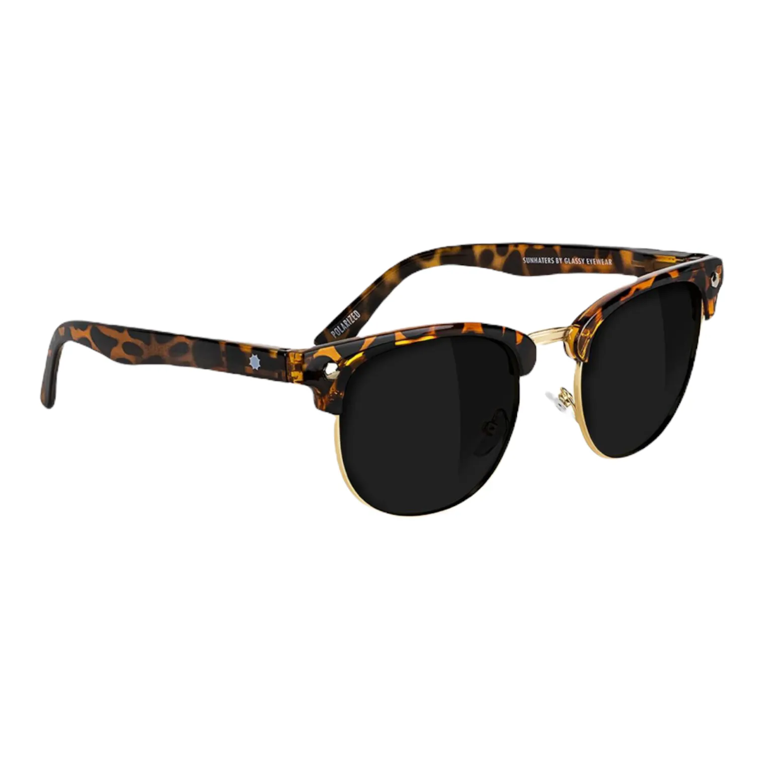 Glassy Morrison Polarized - Tortoise