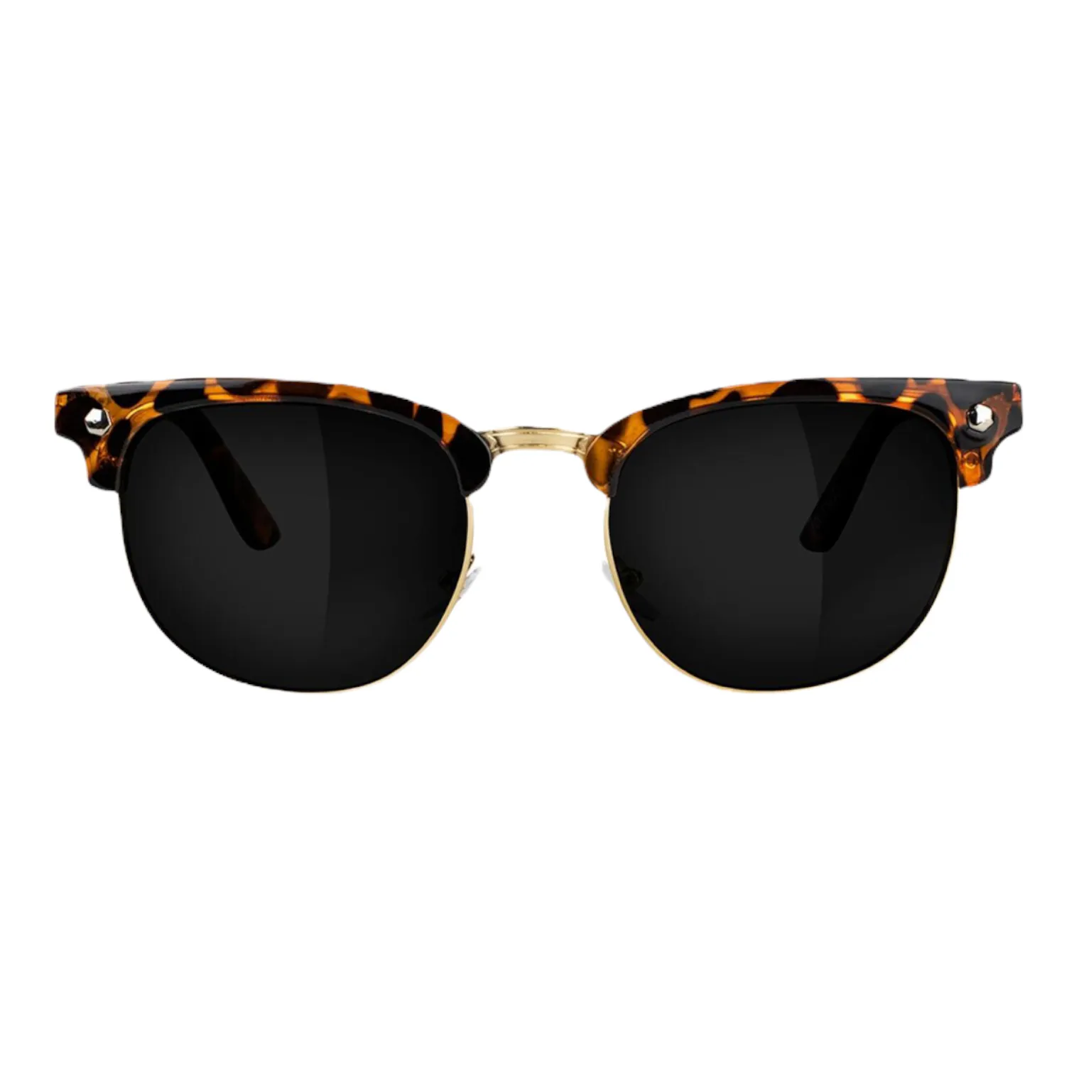 Glassy Morrison Polarized - Tortoise
