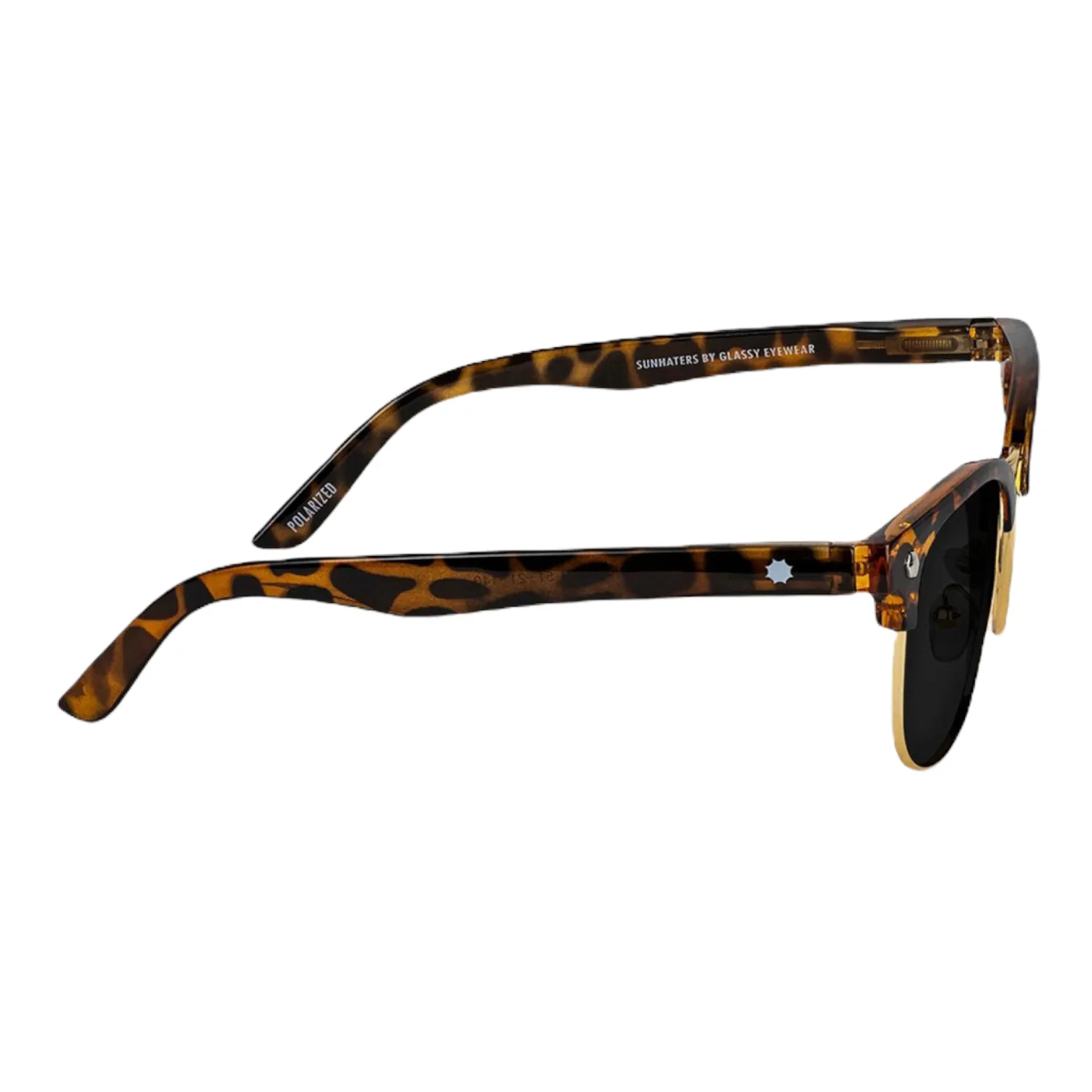 Glassy Morrison Polarized - Tortoise