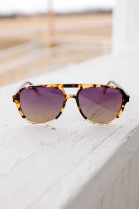 Indie Aviator Polarized Sunglasses - Tortoise Clear