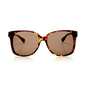 Monsoon in Tortoise