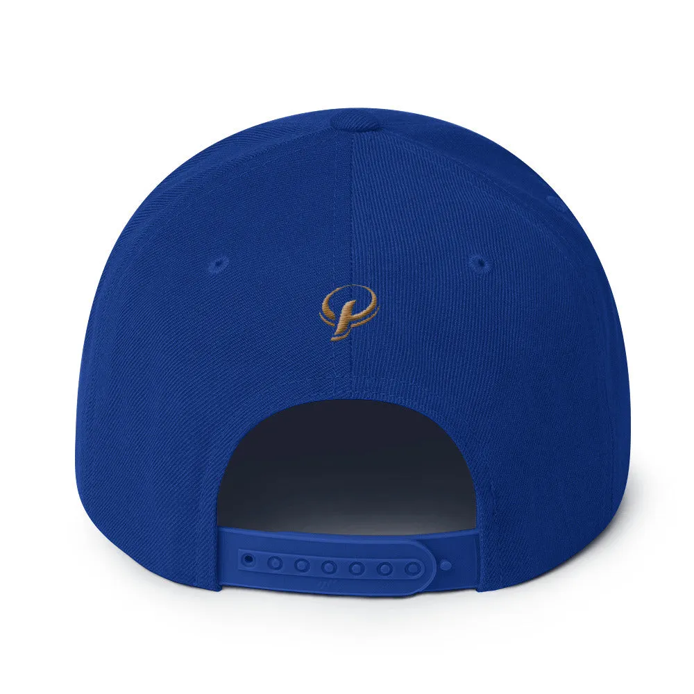 Presidential® Clothing Co P On Back | Snapback Hat