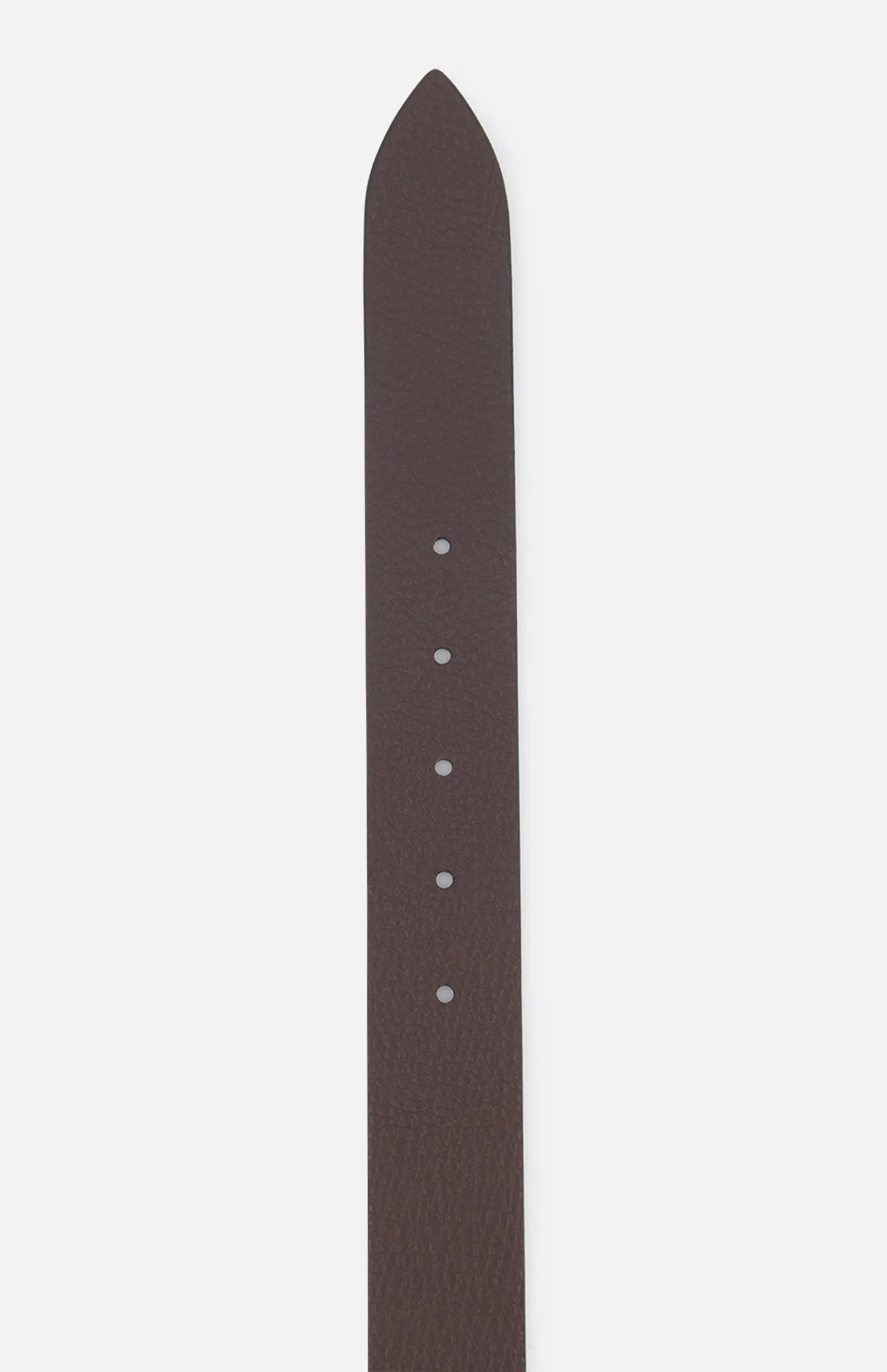 Reversible Belt