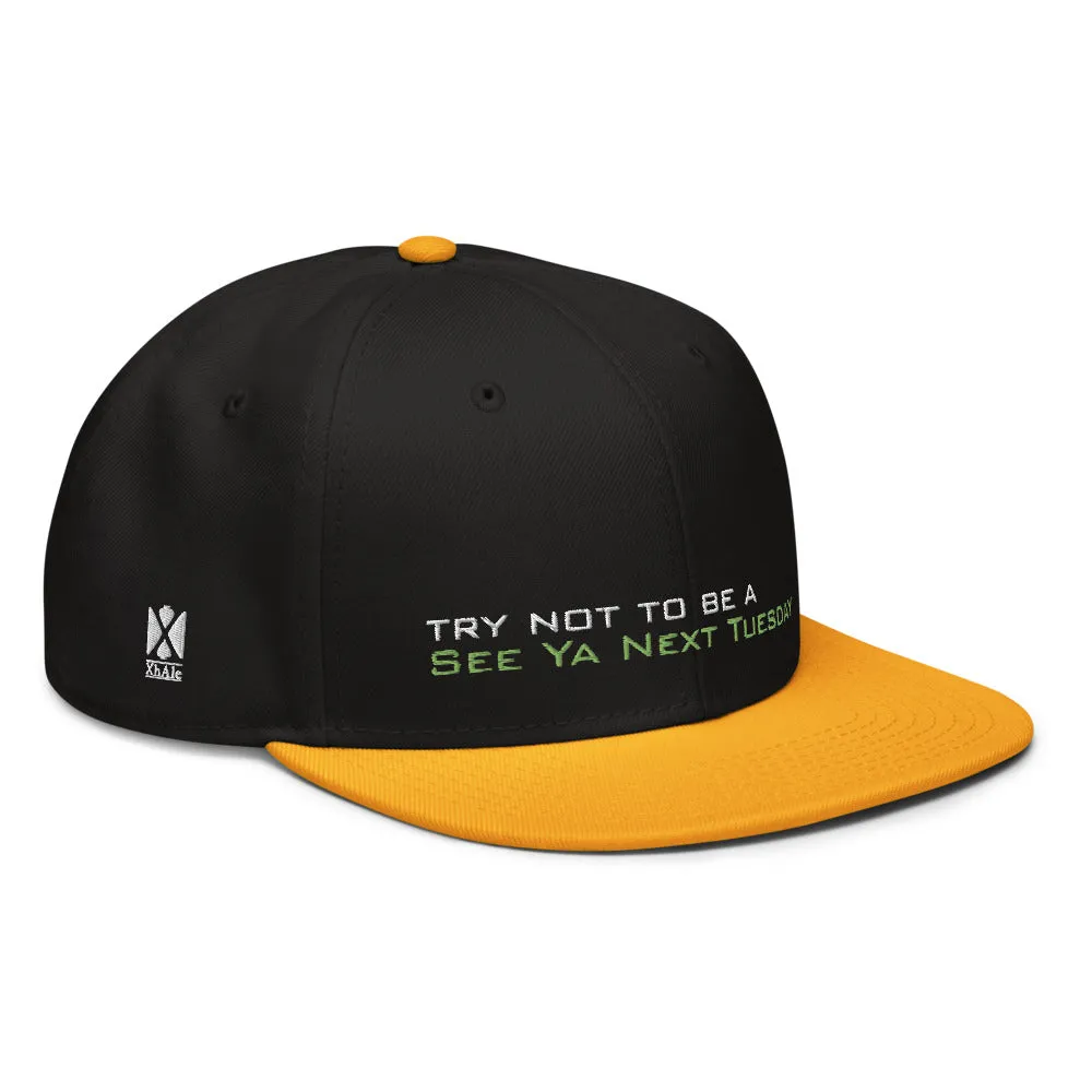 Try Not To Be a SYNT - Snapback Hat