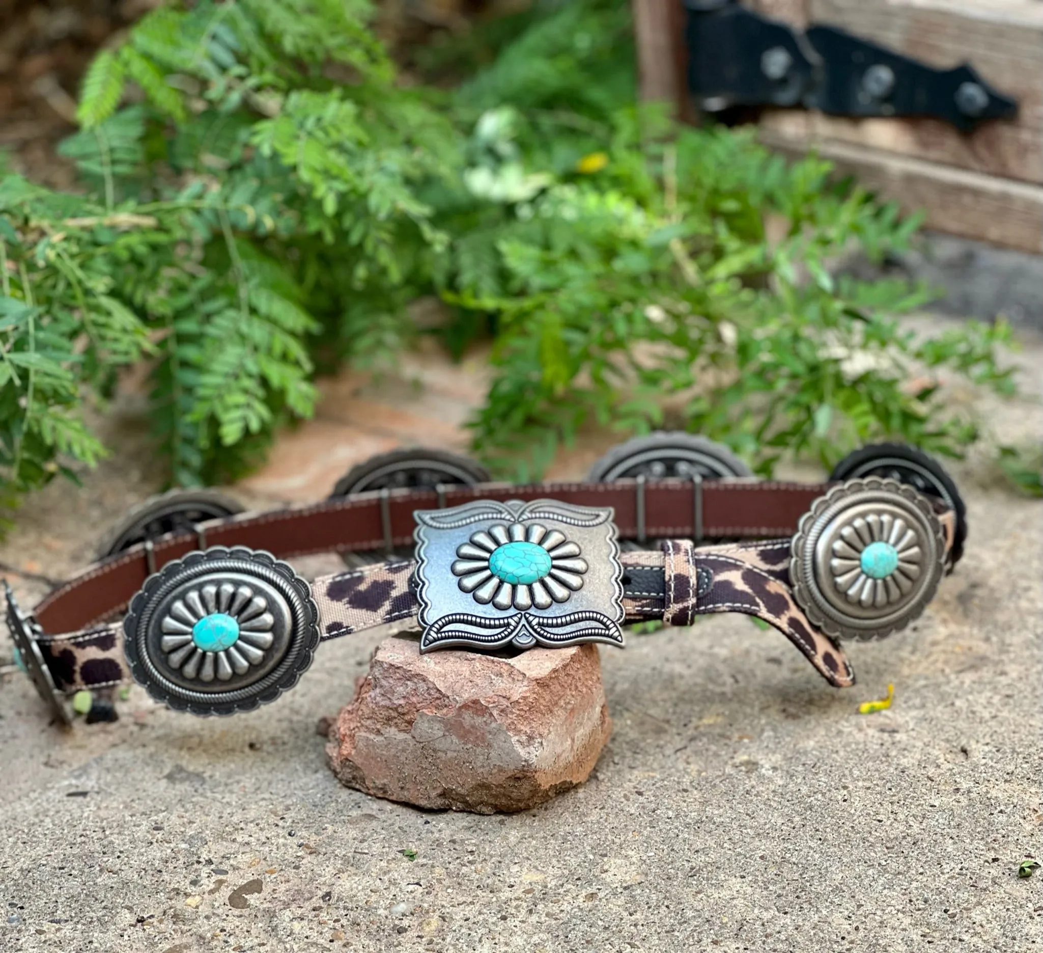 Turquoise & Leopard Oval Concho Belt by Ariat
